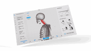 Neck Scan 